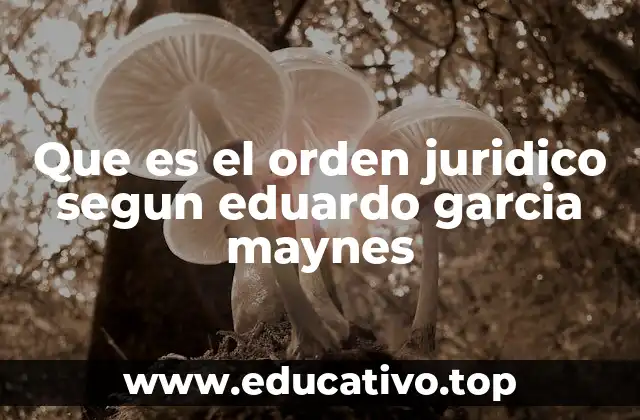 Que es el orden juridico segun eduardo garcia maynes
