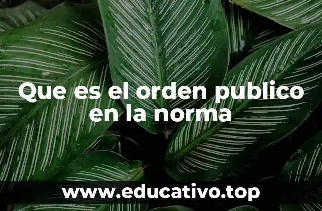 Que es el orden publico en la norma