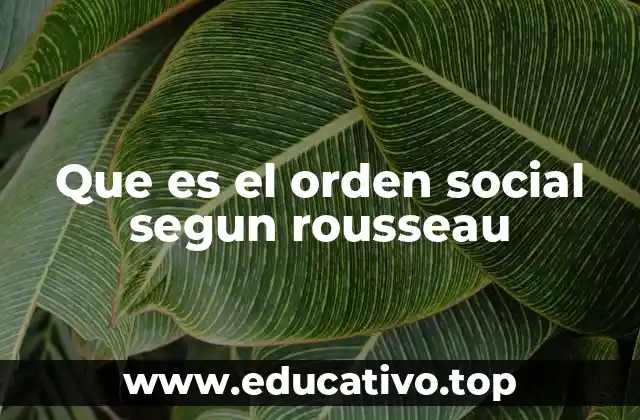 Que es el orden social segun rousseau