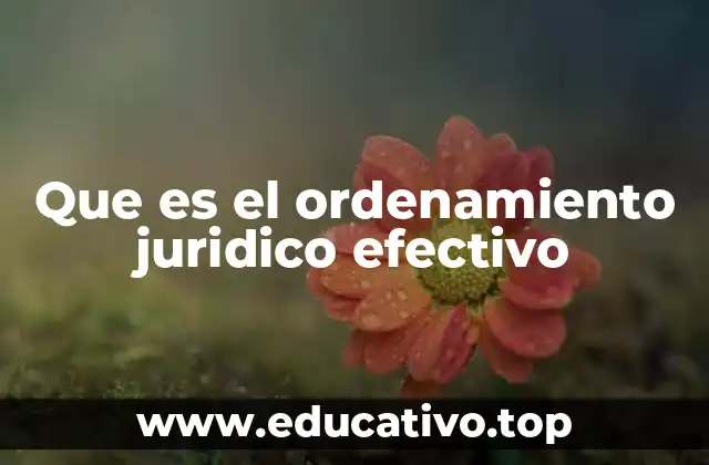 Que es el ordenamiento juridico efectivo