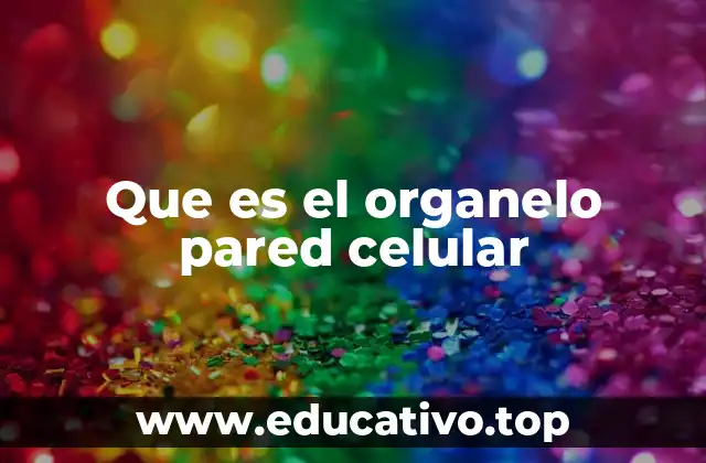 Que es el organelo pared celular