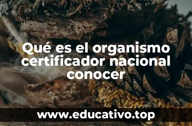 Qué es el organismo certificador nacional conocer