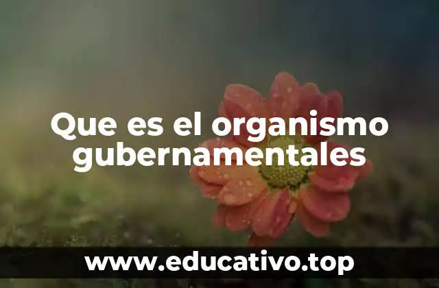 Que es el organismo gubernamentales