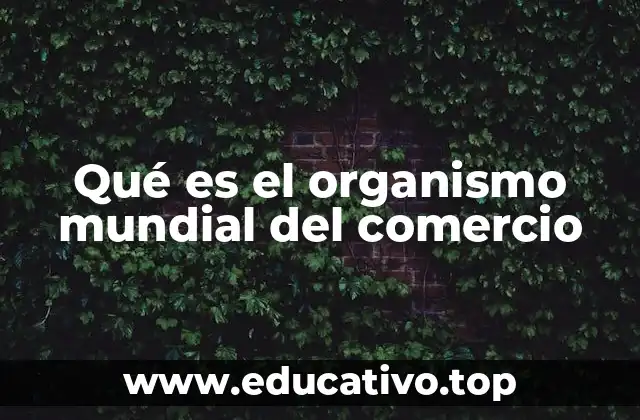 Qué es el organismo mundial del comercio