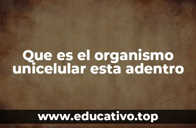 Que es el organismo unicelular esta adentro