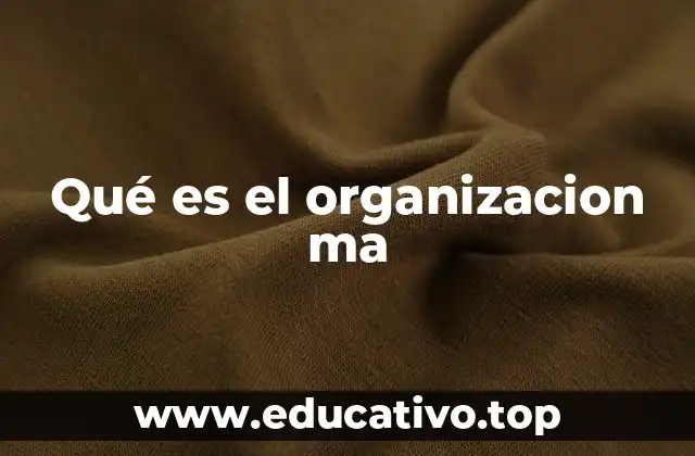 Qué es el organizacion ma