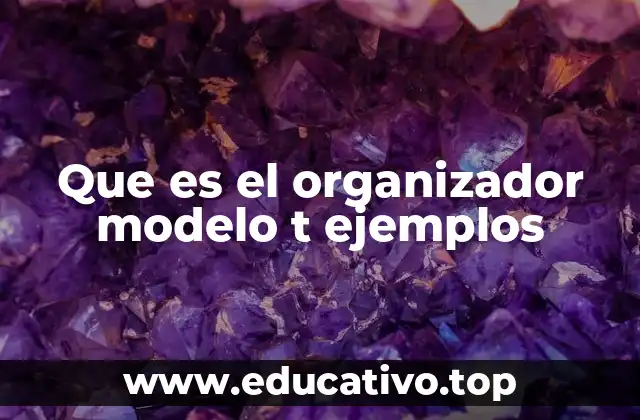 Que es el organizador modelo t ejemplos