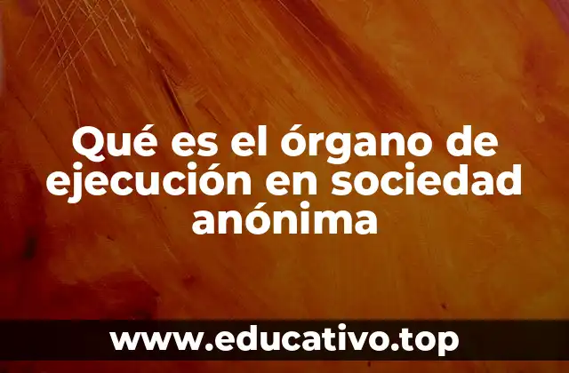Qué es el órgano de ejecución en sociedad anónima