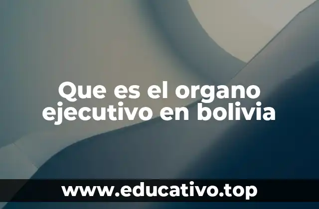 Que es el organo ejecutivo en bolivia