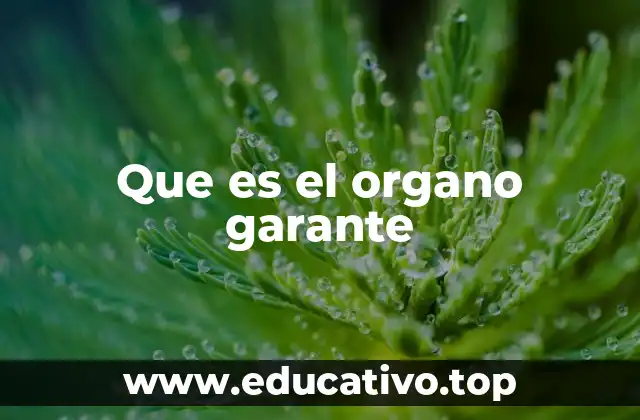 Que es el organo garante