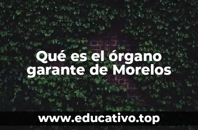 Qué es el órgano garante de Morelos