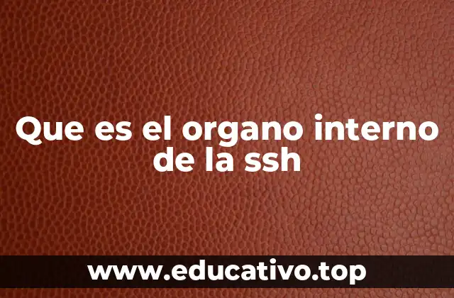 Que es el organo interno de la ssh