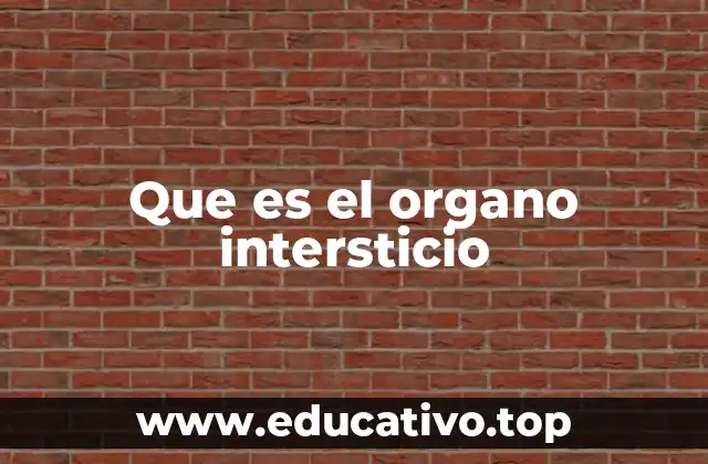 Que es el organo intersticio