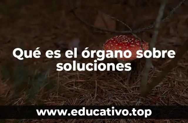 Qué es el órgano sobre soluciones