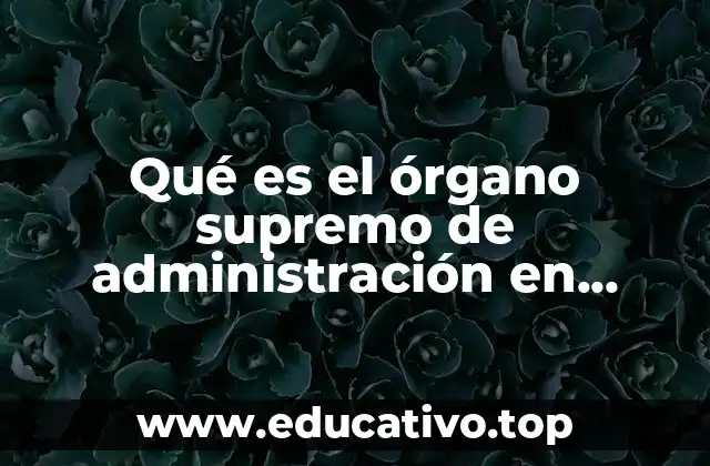 Qué es el órgano supremo de administración en México