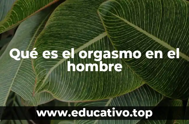 Qué es el orgasmo en el hombre