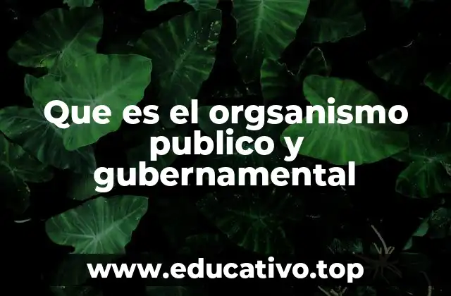 Funciones y características de las instituciones públicas