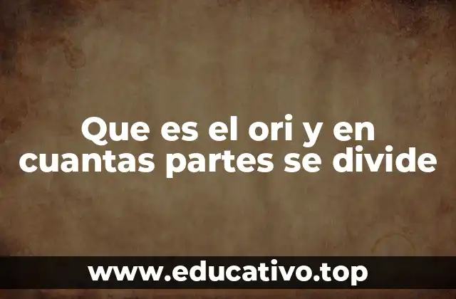 Que es el ori y en cuantas partes se divide