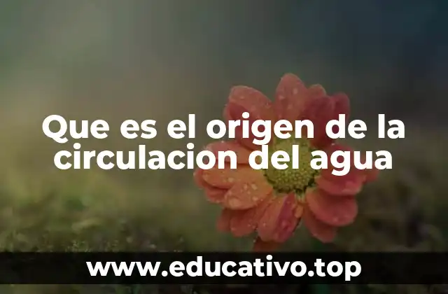 Que es el origen de la circulacion del agua