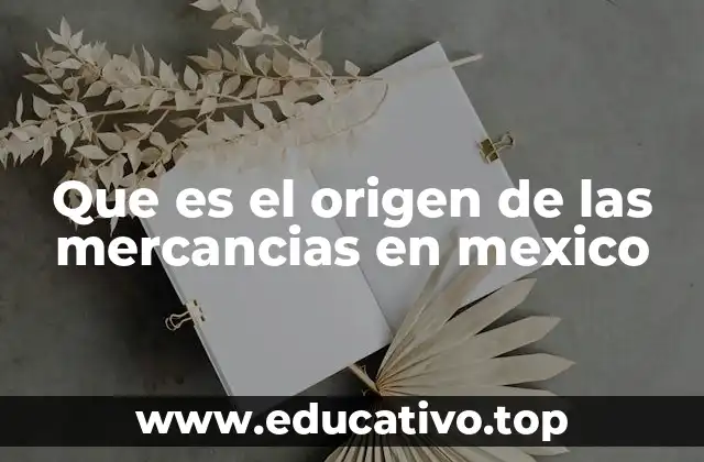 Que es el origen de las mercancias en mexico