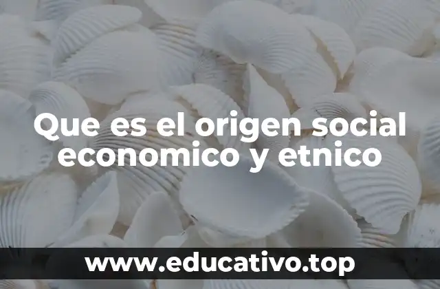 Que es el origen social economico y etnico