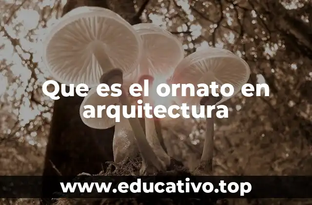 Que es el ornato en arquitectura