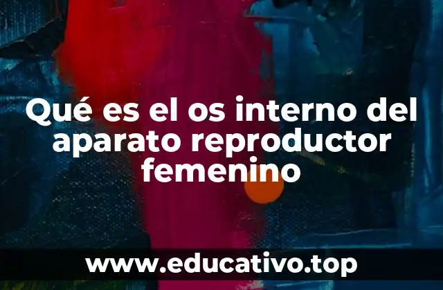 Qué es el os interno del aparato reproductor femenino