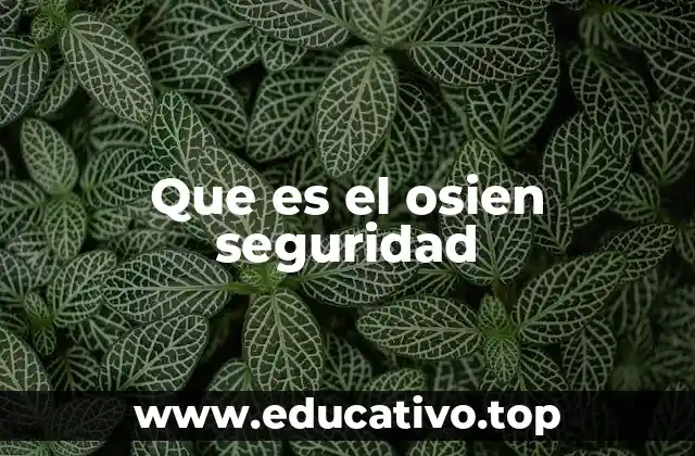 Que es el osien seguridad