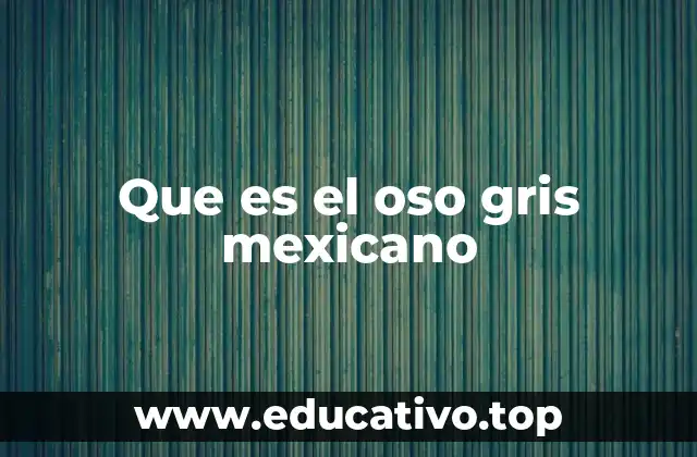 Que es el oso gris mexicano