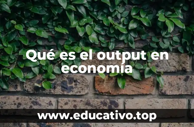 Qué es el output en economía