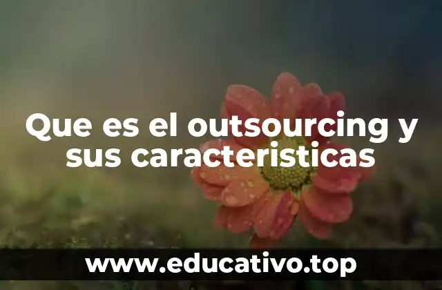 Que es el outsourcing y sus caracteristicas
