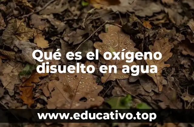 Qué es el oxígeno disuelto en agua
