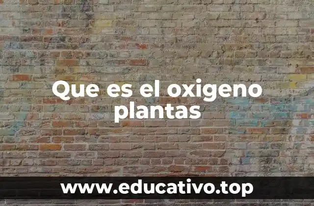 Que es el oxigeno plantas