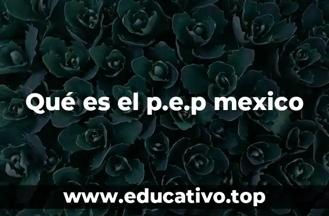 Qué es el p.e.p mexico