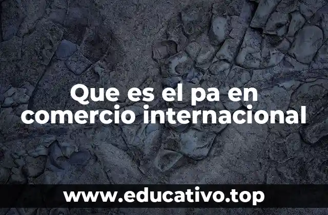Que es el pa en comercio internacional
