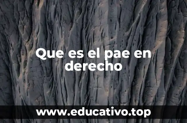 Que es el pae en derecho