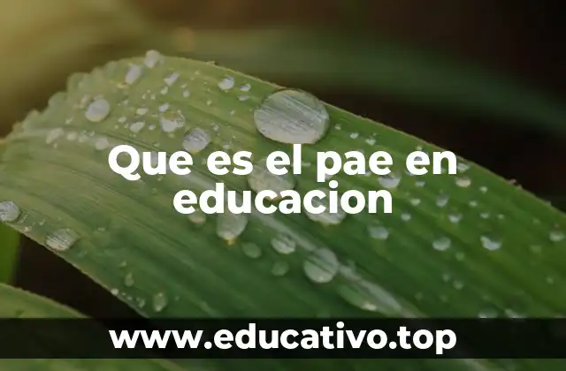 Que es el pae en educacion