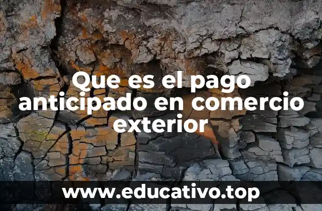 Que es el pago anticipado en comercio exterior