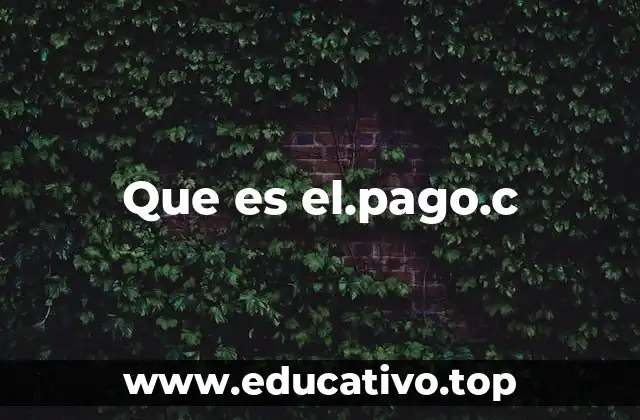 ¿Cómo se estructura un archivo como el.pago.c?