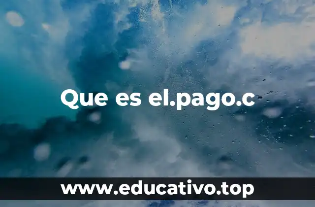 Que es el.pago.c