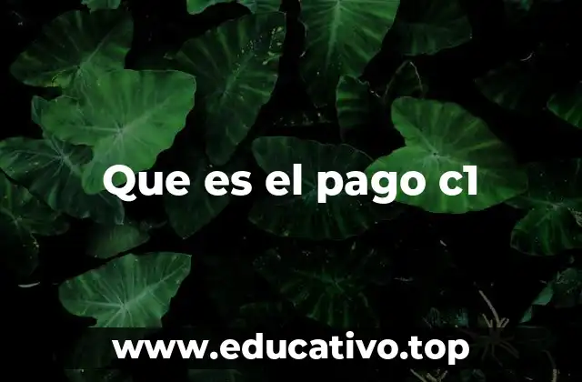 Que es el pago c1