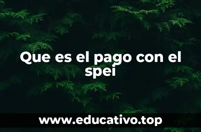 Que es el pago con el spei