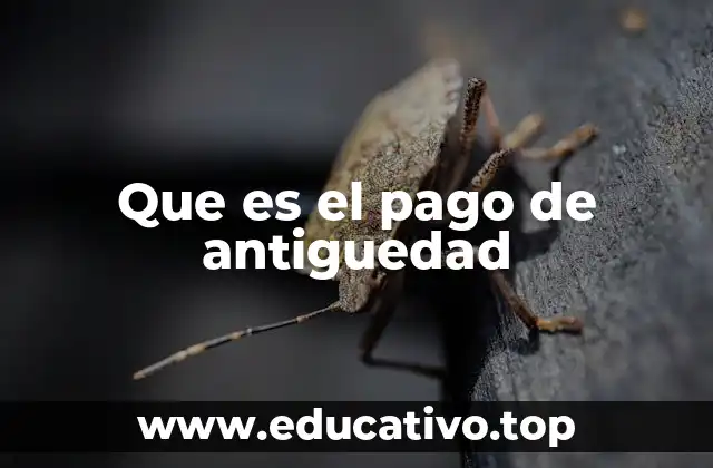 El derecho al reconocimiento del tiempo trabajado