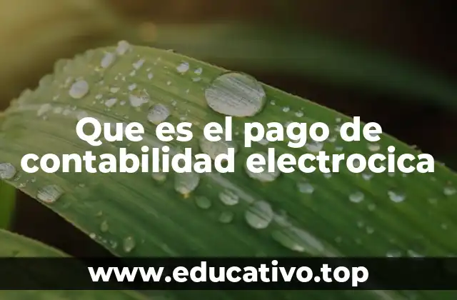 Que es el pago de contabilidad electrocica
