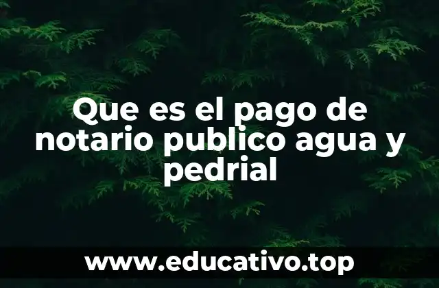 Que es el pago de notario publico agua y pedrial