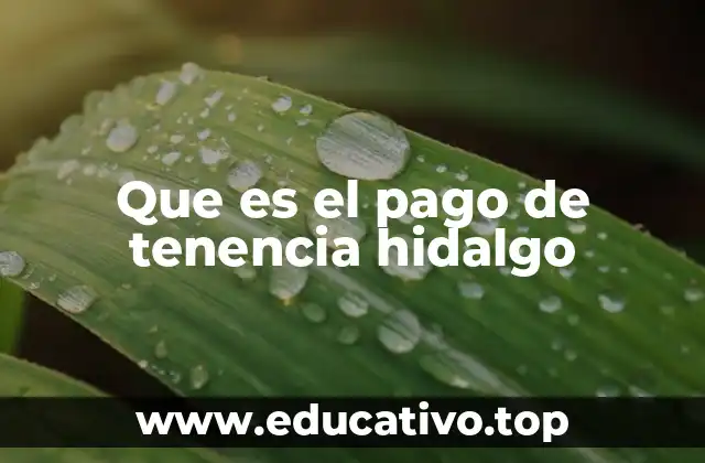 Que es el pago de tenencia hidalgo