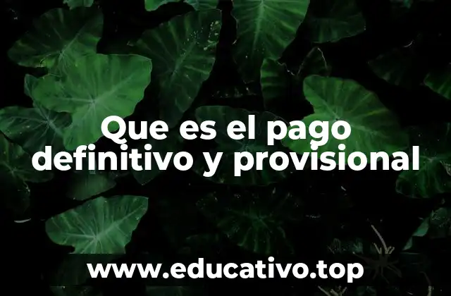 Que es el pago definitivo y provisional