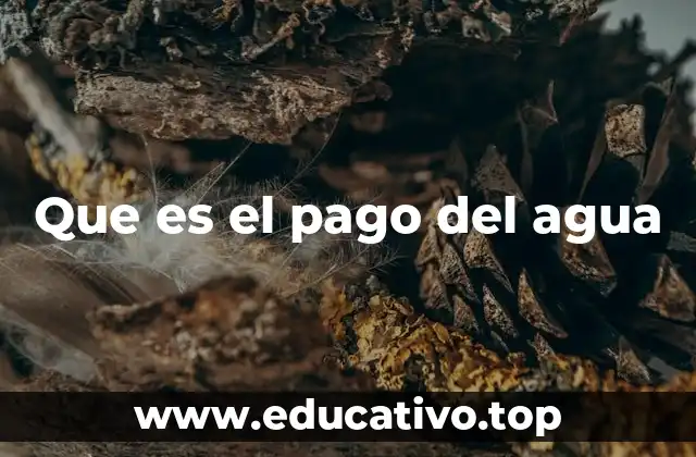 Que es el pago del agua