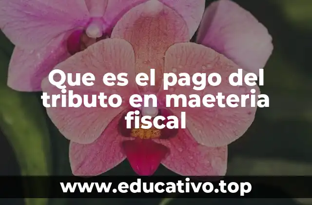 Que es el pago del tributo en maeteria fiscal