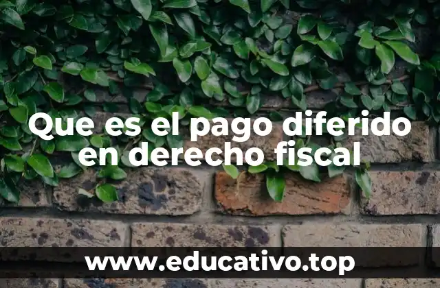 Que es el pago diferido en derecho fiscal